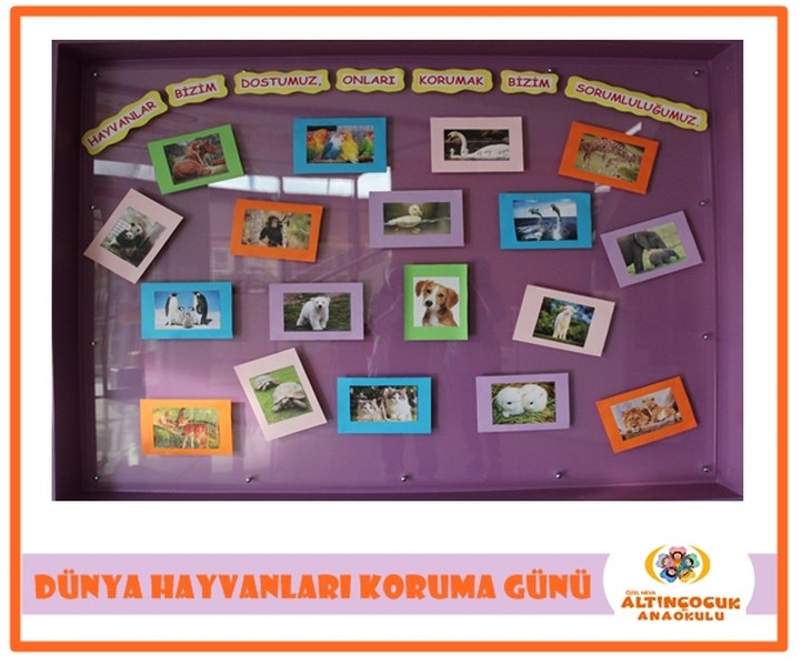 HAYVANLARI SEVİYORUM,HAYVANLARI KORUYORUM !