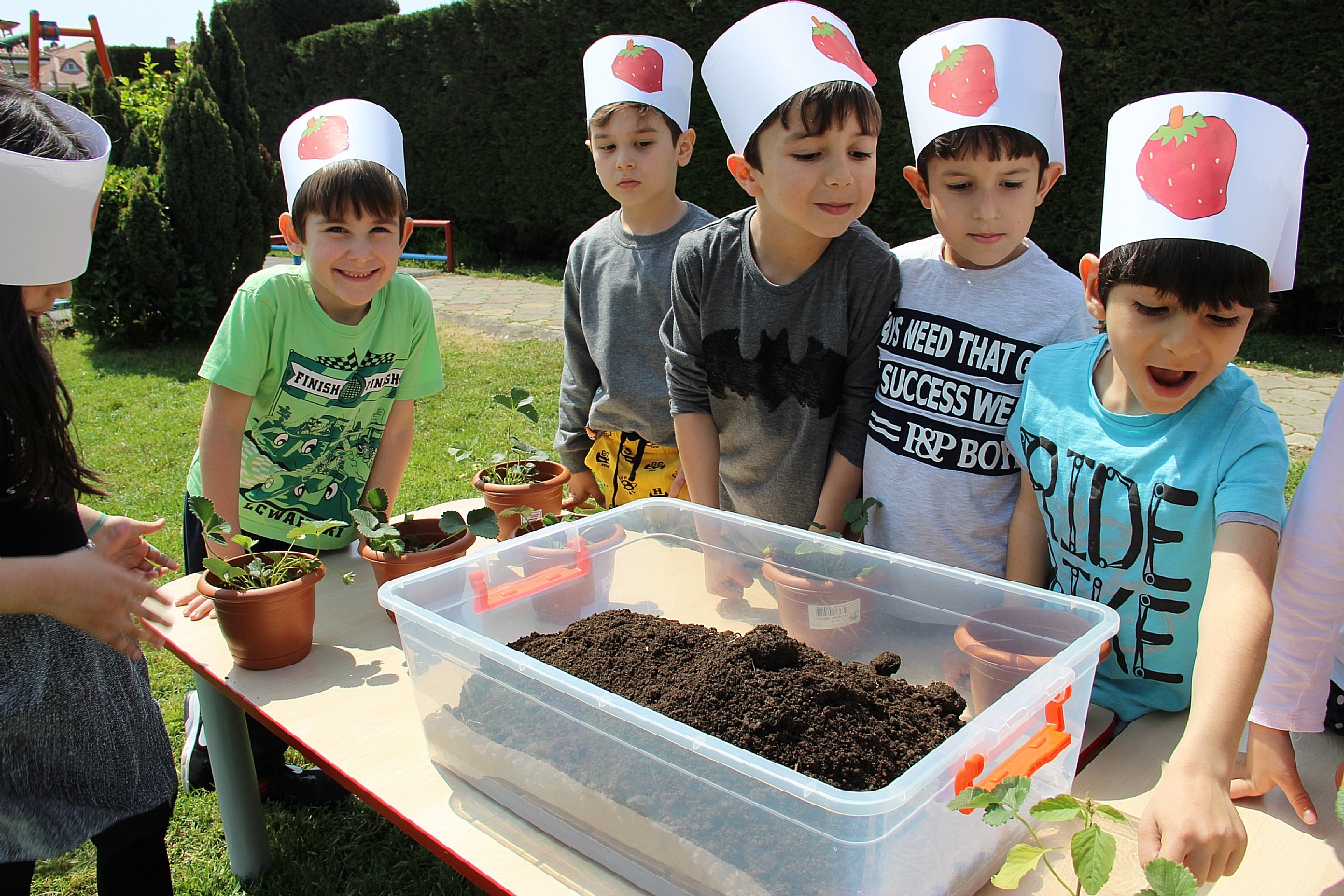 ALTINÇOCUK’TA ÇİLEK FESTİVALİ